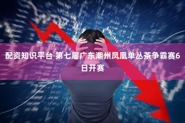 配资知识平台 第七届广东潮州凤凰单丛茶争霸赛6日开赛