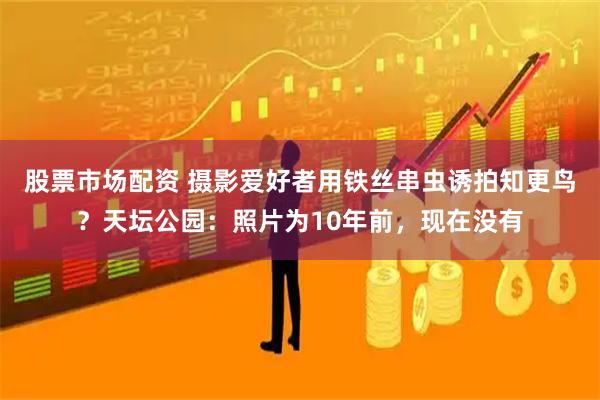 股票市场配资 摄影爱好者用铁丝串虫诱拍知更鸟？天坛公园：照片为10年前，现在没有